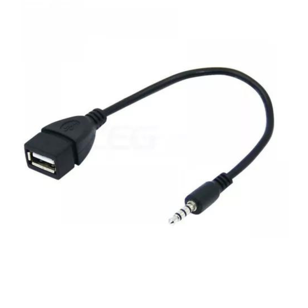 ADAPTADOR OTG USB A AUX